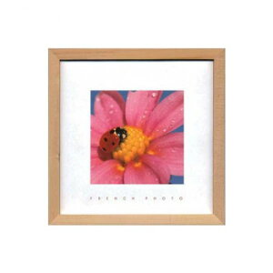 French Photography tHgA[g Lady bird ZFP-51910