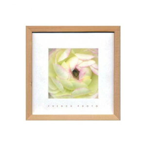 French Photography tHgA[g Ranunculus ZFP-51917