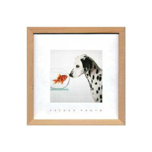 French Photography tHgA[g Dalmetian  Fish ZFP-51919