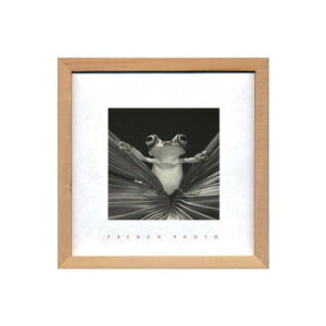 French Photography tHgA[g Tree Frog Queen ZFP-51922