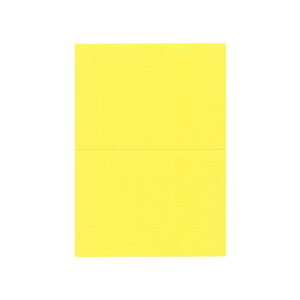 PAPER PALETTE(y[p[pbg)@A5J[h@}[Ch@Ђ܂@100@1732412