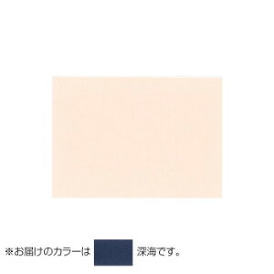 PAPER PALETTE(y[p[pbg)@n[t|XgJ[h@}[Ch@[C@100@1744890