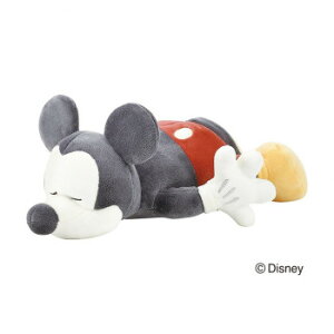 Ԃ͂Ɓ@`nO(fBYj[)@ D910@ɂɂNbV@~bL[}EX@50034-01