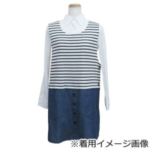 atelier momomomo u{[_[ؑփ^uG@Gv@zCg AP43655-41 M-L