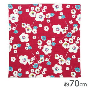 Rc@ہ@ނ@70@ȃ_K[@~@AJ@20452-202@PPܓ