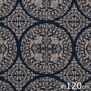 Rc@ہ@ނ@C~(ӂ낵)@120@q@()@@R@20821-007