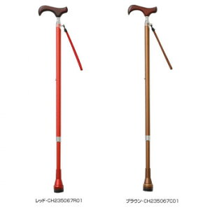 Lk tbNXtBbgPC bhECH235067R01