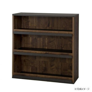 {gƋ fBXvC{I G{I CO-CR9090DS ؖڒuE