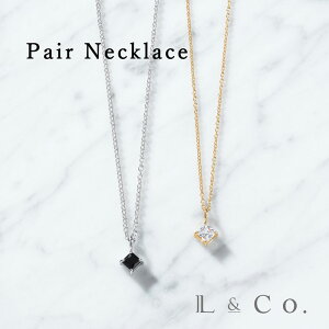 SV925 yAlbNX 肰ȂyAWG[ Vv XNGAfUC Jbv l l&co L[rbN v[g Mtg LO NX}X ޏ ގ Z 20 30 40