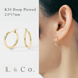 K10 t[vsAX 2.0x17mm CG[S[h sAX  10 Vv fB[X Y Vv ItBX v[g Mtg  j jZbNX