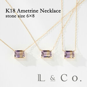 K18 AglbNX 6×8 傫 Vv 킢 oCJ[ CG[S[h 18 v[g Mtg NX}X