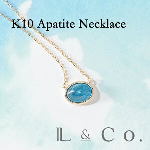 K10 Ap^Cg lbNX y_g lIu[Ap^Cg Vv JWA J[Xg[ WG[ i 10 v[g Mtg CG[S[h s o