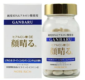 モアリッチ ヒアルロン酸DE顔晴る 120粒 ビタミンC ビタミンE ヒアルロン酸 サプリ サプリメント 健康サプリメント コラーゲン コンドロイチン コエンザイム 美容サプリメント 目 サプリ カプセル 粒 大容量 粒 関節 視力 男性 女性 コラーゲン