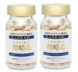 モアリッチ ヒアルロン酸DE顔晴る 120粒 2箱セット ビタミンC ビタミンE ヒアルロン酸 サプリ サプリメント 健康サプリメント コラーゲン コンドロイチン コエンザイム 美容サプリメント 目 サプリ カプセル 粒 大容量 粒 関節 視力 男性 女性 コラーゲン