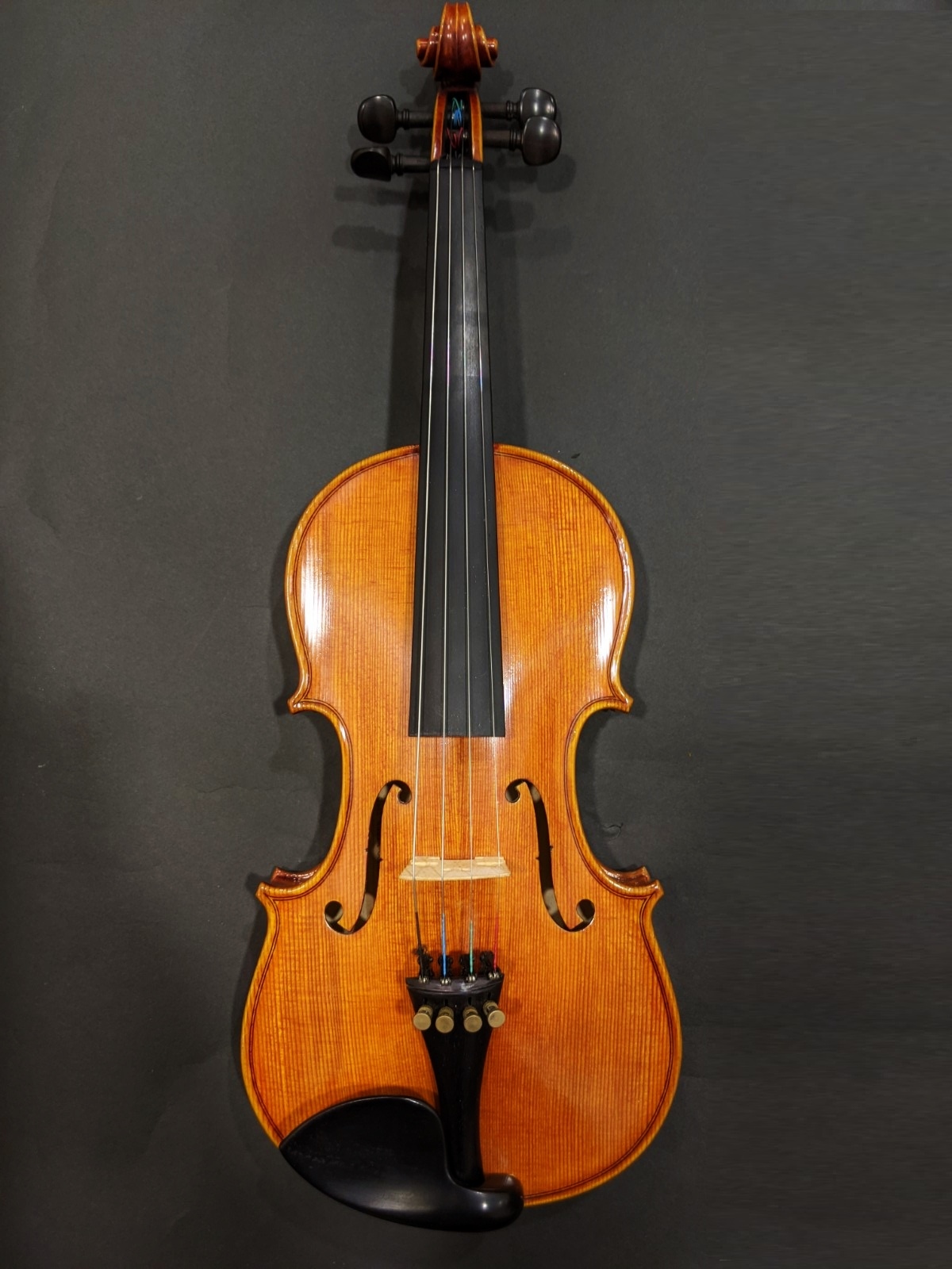 バイオリン セット 4/4 カルロ ジョルダーノ VS-2 良品 