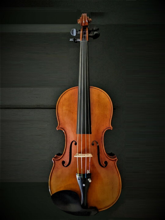 楽天市場】【中古】4/4バイオリン KARL HOFNER カール・ヘフナー : L 