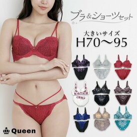 大きいサイズ ブラジャー ショーツセット 下着 H70 H75 H80 H85 H90 H95 モールドカップ 大きめアンダー ランジェリー