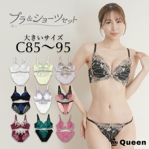 uW[ V[cZbg 傫TCY [hJbv Ci[  WF[  ZNV[  fB[X C85 C90 C95