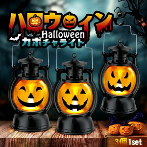 iԎ̔3g nEB  ڂ ^ C~l[V ledCg RXv q u I[ig  O pvLCg halloween d {^drt