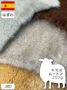 y͂zrє/[g/250gl/S5F