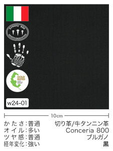 y؂vz^jv/Conceria800/uKm()