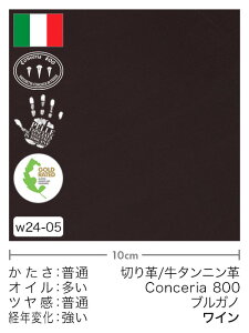 y؂vz^jv/Conceria800/uKm(C)