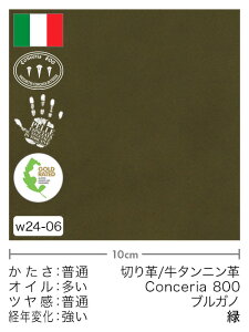 y؂vz^jv/Conceria800/uKm()