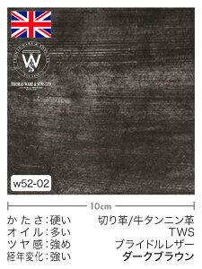 �y�؂�v�z���^���j���v/TWS/�u���C�h�����U�[(�_�[�N�u���E��)