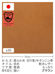 y30cm؂vz^jv/Ȗ؃U[/(uE)