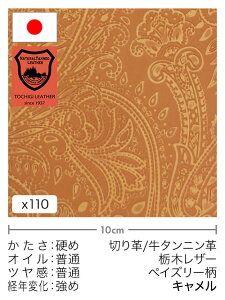 y30cm؂vz^jv/Ȗ؃U[/yCY[(L)