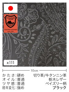 y30cm؂vz^jv/Ȗ؃U[/yCY[(ubN)