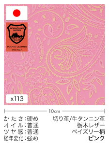 y30cm؂vz^jv/Ȗ؃U[/yCY[(sN)