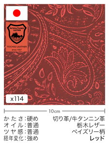 y30cm؂vz^jv/Ȗ؃U[/yCY[(bh)