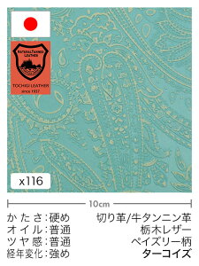 y30cm؂vz^jv/Ȗ؃U[/yCY[(^[RCY)