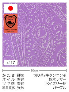 y30cm؂vz^jv/Ȗ؃U[/yCY[(p[v)