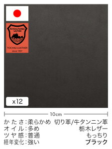 y30cm؂vz^jv/Ȗ؃U[/(ubN)