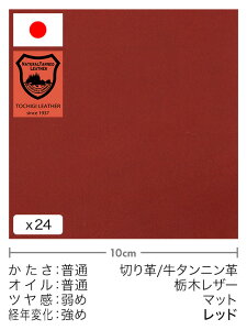 y30cm؂vz^jv/Ȗ؃U[/}bg(bh)