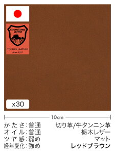 y30cm؂vz^jv/Ȗ؃U[/}bg(bhuE)