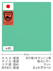 y30cm؂vz^jv/Ȗ؃U[/}bg(~gO[)