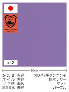 y30cm؂vz^jv/Ȗ؃U[/}bg(p[v)