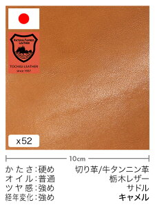 y30cm؂vz^jv/Ȗ؃U[/Th(L)