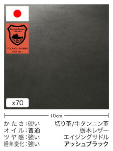 y30cm؂vz^jv/Ȗ؃U[/GCWOTh(AbVubN)