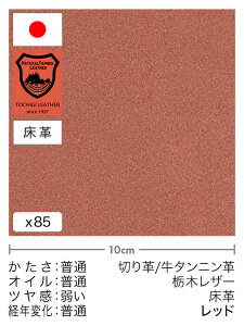 y30cm؂vz^jv/Ȗ؃U[/v(bh)