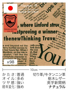 y30cm؂vz^jv/Ȗ؃U[/pV(i`)