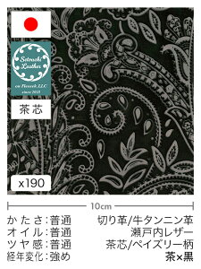 y30cm؂vz^jv/˓U[/c/yCY[(×)