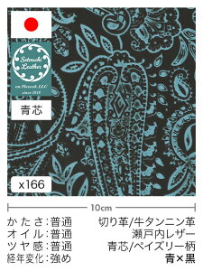 y30cm؂vz^jv/˓U[/c/yCY[(×)