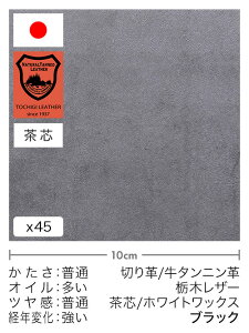 y30cm؂vz^jv/Ȗ؃U[/c/zCgbNX(ubN)