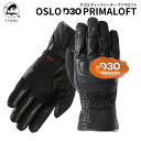 フリュガン(Furygan) OSLO D3O® PRIMALOFT メンズ バイク用グローブ 秋冬用