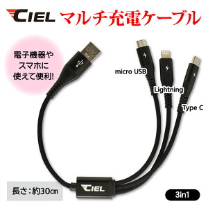 CIEL(�V�G��) 3in 1 �}���`�[�d�P�[�u�� 3A 30cm/120cm