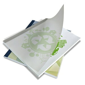 R}[XyACzƂECOJo[zCgA4^e A-4905382481453y4700005z